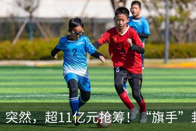 突然，超11亿元抢筹！“旗手”封死涨停，发生了什么？